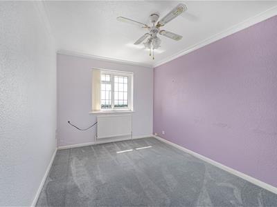 Picture 13